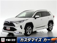 RAV4 ハイブリッドG