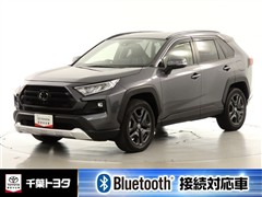 ＲＡＶ４