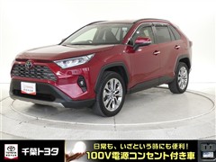 RAV4 G Zパッケージ