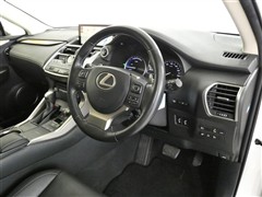 NX300h バージョンL