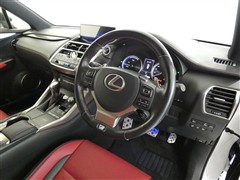 NX300h Fスポーツ