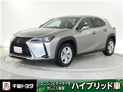 UX250h バージョンC