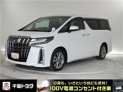 アルファード Sタイプゴ-ルド3
