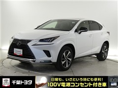 NX300 スパイスアンドシック