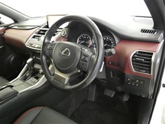 NX300 スパイスアンドシック