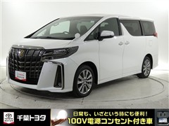アルファード Sタイプゴ-ルド2