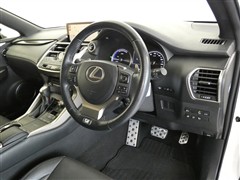 NX300h Fスポーツ