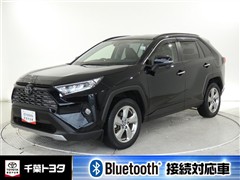 RAV4 G