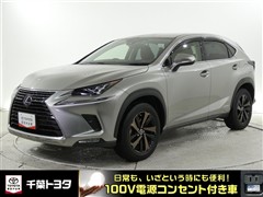 NX300h バージョンL
