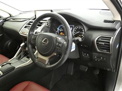 NX300h バージョンL