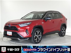 RAV4 PHV ブラックトーン