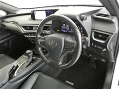 UX250h バージョンC