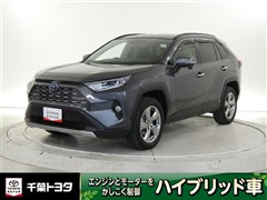 RAV4 HEV G