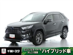 RAV4 ハイブリッドG