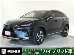 NX300h バージョンL