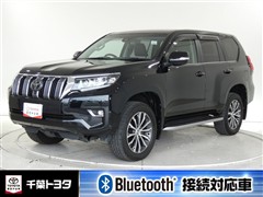 ランドクルーザープラド TZ-G