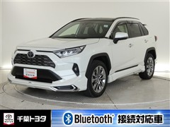 RAV4 G Zパッケージ