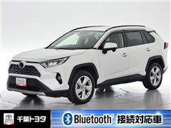 RAV4 G