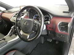 NX300h スパイスアンドシック
