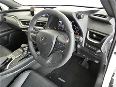 UX250h バージョンC
