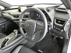 UX250h バージョンC
