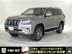 トヨタ ランドクルーザープラド TZ-G
