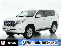 ランドクルーザープラド TZ