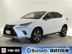 NX300 スパイスアンドシック