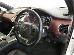 NX300 スパイスアンドシック