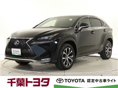 NX300h Fスポーツ