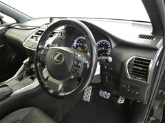 NX300h Fスポーツ