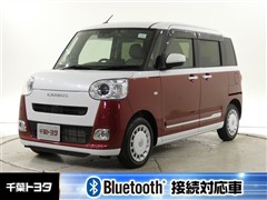 ムーヴキャンバスストライプスGt
