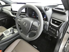 UX300h グレイスフル エクスポ