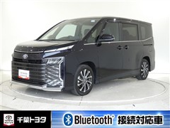 ヴォクシー S-Z