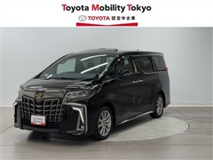 アルファード Sタイプゴールド3