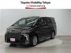 アルファード Sタイプゴールド3