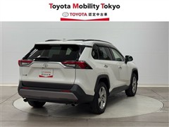 RAV4 G