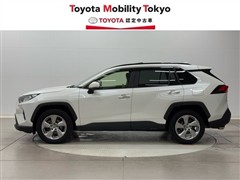 RAV4 G