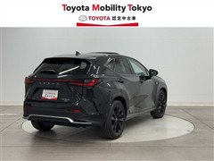NX350h F SPORT