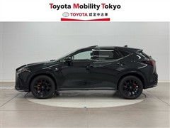 NX350h F SPORT