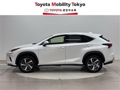 NX300h Iパッケージ
