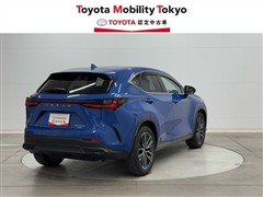NX350h VER-L