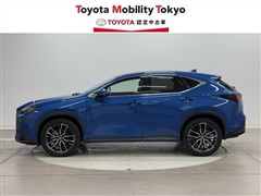 NX350h VER-L