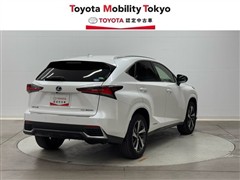 NX300h スパイス&シック