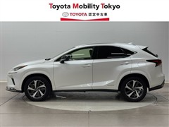 NX300h スパイス&シック