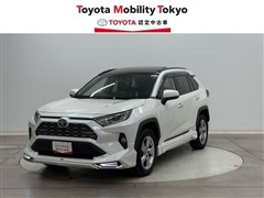 RAV4 HV G