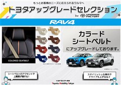 RAV4 HVアドベ オフロード2