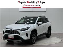 ＲＡＶ４