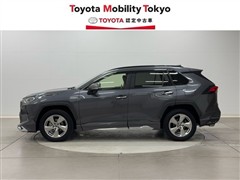 RAV4 HV G