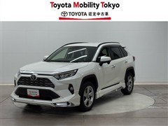 RAV4 G